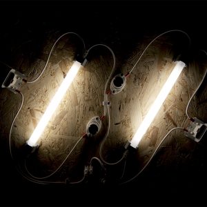 LIGHT BOX, 2013, protocolar retroillumieata, neon su pannello in legno, cm 40x60x6