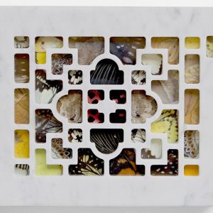 PSICOMANZIA, 2017, marmo e ali di farfalle, cm 17,5x22