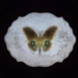 SENZA TITOLO, 2014, video e materiali vari, ed. 5/5, cm 27(h)x33x7,5
